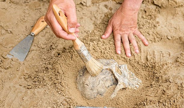 Research Topics Related to Anthropology