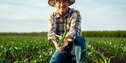Research Topics Related to Agribusiness
