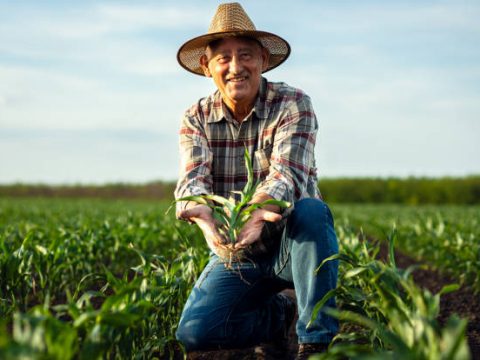 Research Topics Related to Agribusiness
