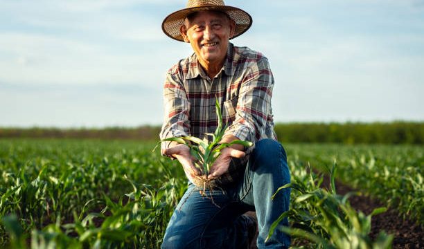 Research Topics Related to Agribusiness