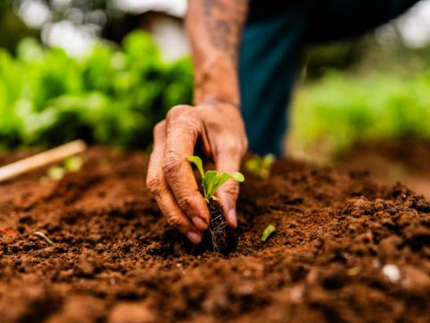 Research Topics Related to Agricultural Economics