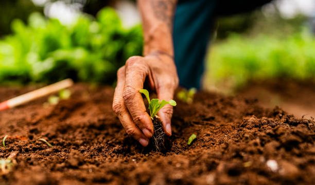 Research Topics Related to Agricultural Economics