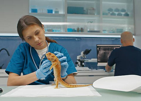 Research Topics Related to Animal Science