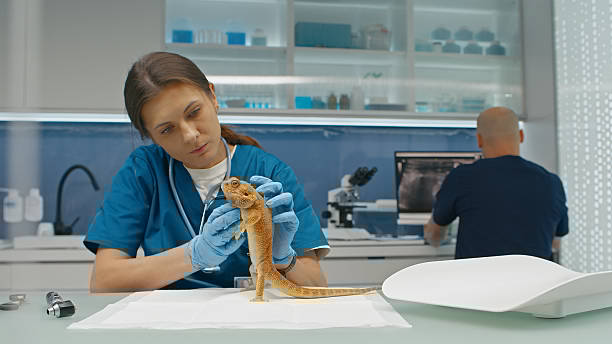 Research Topics Related to Animal Science