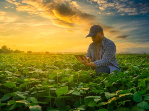 Research Topics Related to Crop Science