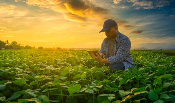 Research Topics Related to Crop Science