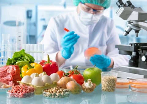 Research Topics Related to Food Science and Technology