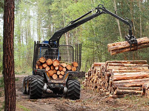 Research Topics Related to Forestry