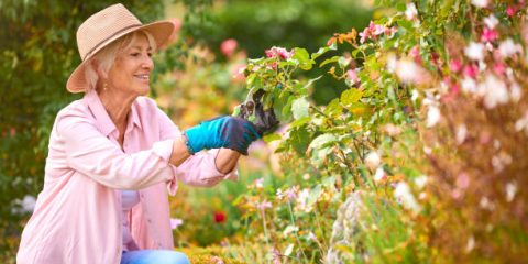 Research Topics Related to Horticulture