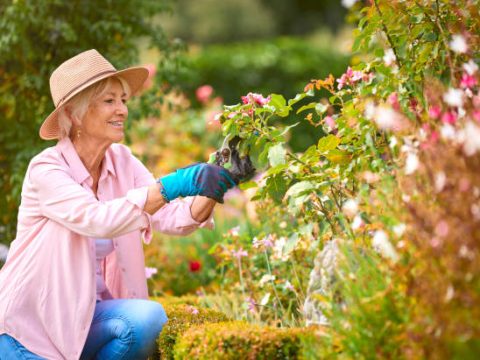 Research Topics Related to Horticulture