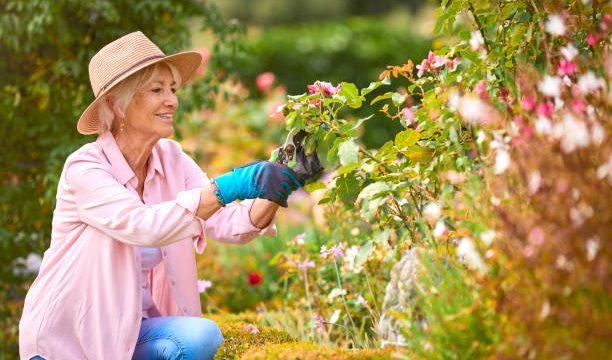 Research Topics Related to Horticulture