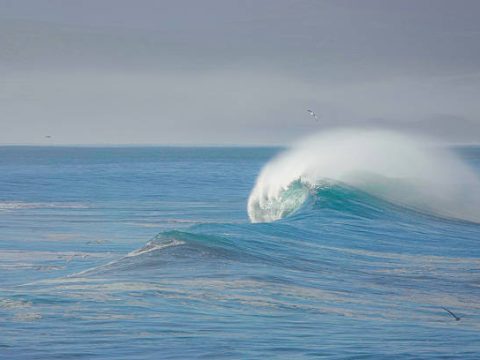 Research Topics Related to Oceanography