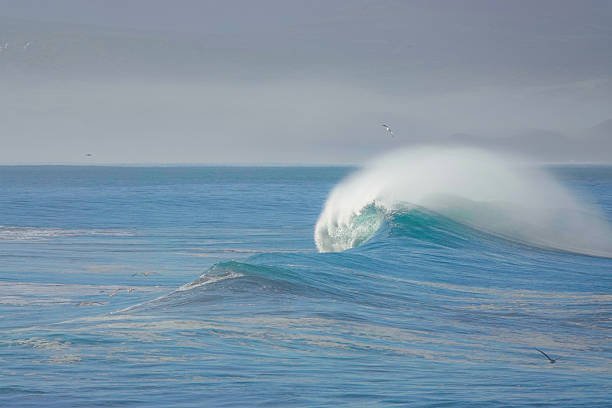 Research Topics Related to Oceanography