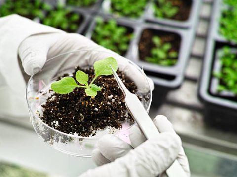 Research Topics Related to Soil Science