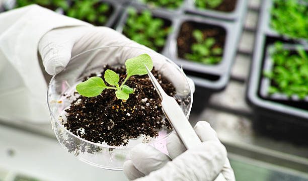 Research Topics Related to Soil Science